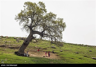 روستای شاهیوند- پلدختر