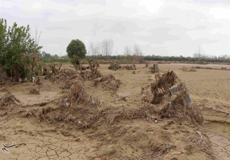 خسارت جدی تگرگ به 700 هکتار محصولات کشاورزی/ تیر خلاص به تولید در کهگیلویه و بویراحمد