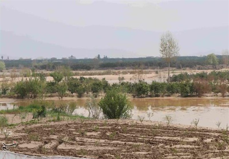 خوزستان| سیلاب به 6 هزار هکتار از اراضی کشاروزی اندیمشک خسارت وارد کرد