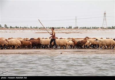 سیلاب در جاده اهواز -آبادان