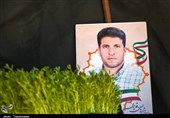 آرزوی قلبی مادر شهید "قدیری" چیست؟ + فیلم