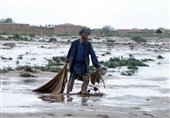 Flash Flood Claims 17 Lives in Afghanistan&apos;s Parwan Province