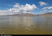 احیای نسبی دریاچه ارومیه به حیات وحش این پارک ملی زندگی دوباره بخشید+تصاویر