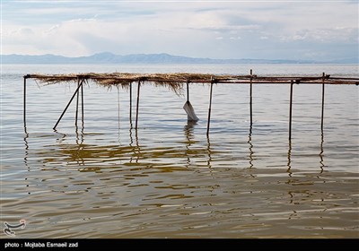 دریاچه ارومیه اکنون به لحاظ وسعت و تراز سطح آب ، در بهترین وضعیت خود طی 6 سال گذشته قرار دارد 