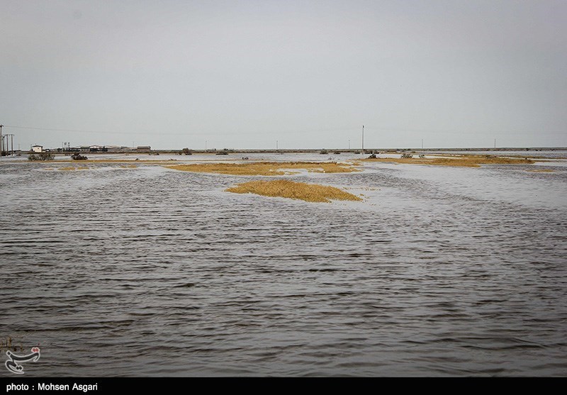 سیل به 4 هزارهکتار از اراضی کشاورزی آذربایجان غربی خسارت زد