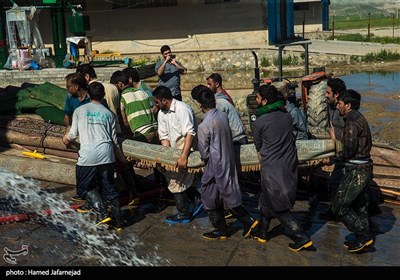 شست و شوی فرش های گلی سیل زدگان پلدختر توسط جهادگران و گروه زینبیون پاکستانی