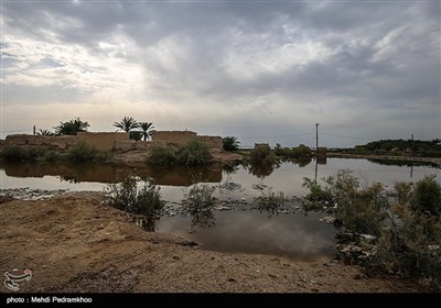 روستای سیل زده ابوشلوگ در شادگان -خوزستان