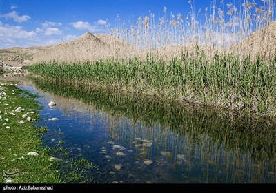 شهرستان پلدختر دارای منابع تاریخی و گردشگری زیادی است که هفت تالاب دائمی و چهار تالاب فصلی این شهرستان را به عنوان شهر تالاب‌ها معرفی کرده است.