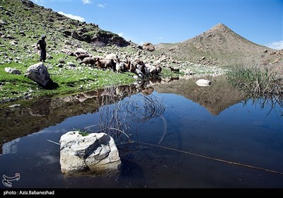 شهرستان پلدختر دارای منابع تاریخی و گردشگری زیادی است که هفت تالاب دائمی و چهار تالاب فصلی این شهرستان را به عنوان شهر تالاب‌ها معرفی کرده است.