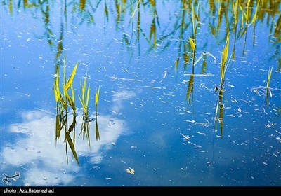 شهرستان پلدختر دارای منابع تاریخی و گردشگری زیادی است که هفت تالاب دائمی و چهار تالاب فصلی این شهرستان را به عنوان شهر تالاب‌ها معرفی کرده است.