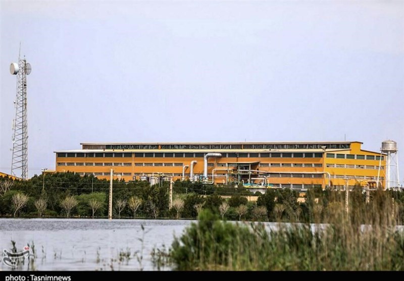 دستور ویژه جهانگیری برای بازسازی زمین‌های نیشکر؛ آب از زمین‌های 4 شهر خوزستان تخلیه شد