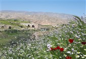 تلفیق تاریخ و طبیعت در کهگیلویهوبویراحمد به روایت تصویر
