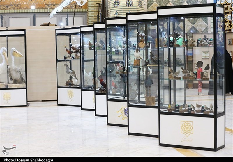 موزه دین و دنیا، موزه‌ای خاص در مسجد مقدس جمکران+تصاویر