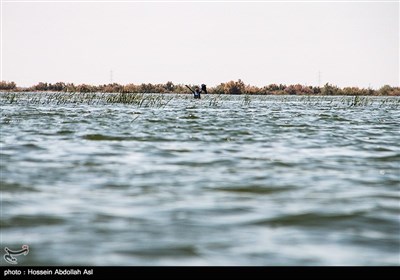 در پی حادثه سیل اخیر در مناطق مختلف استان خوزستان و افزایش دبی سد های این استان، بسیاری از زمین های کشاورزی و روستاهای حاشیه رود کرخه که از سد کرخه منشا می‌گیرد به زیر آب رفتند.تصویر