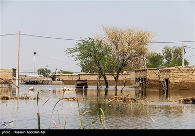 عنوان در پی حادثه سیل اخیر در مناطق مختلف استان خوزستان و افزایش دبی سد های این استان، بسیاری از زمین های کشاورزی و روستاهای حاشیه رود کرخه که از سد کرخه منشا می‌گیرد به زیر آب رفتند.