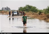 اهواز| 379 مورد خسارت کشاورزی ناشی از سیل در خوزستان ثبت شد