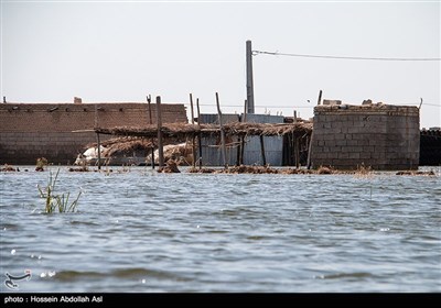 عنوان در پی حادثه سیل اخیر در مناطق مختلف استان خوزستان و افزایش دبی سد های این استان، بسیاری از زمین های کشاورزی و روستاهای حاشیه رود کرخه که از سد کرخه منشا می‌گیرد به زیر آب رفتند.