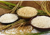 تأثیر سیل بر میزان تولید گندم و برنج چقدر است؟