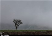 مه گرفتگی و سرمای هوا در محورهای مواصلاتی خراسان شمالی به روایت تصاویر