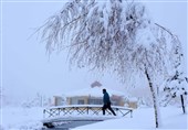 بارش برف سنگین بهاری در اردبیل به روایت تصویر
