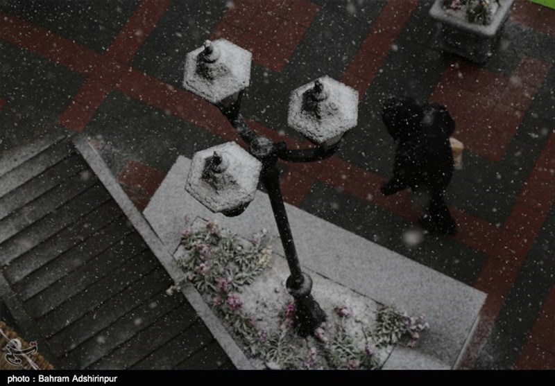 بارش برف سنگین بهاری در اردبیل به روایت تصویر