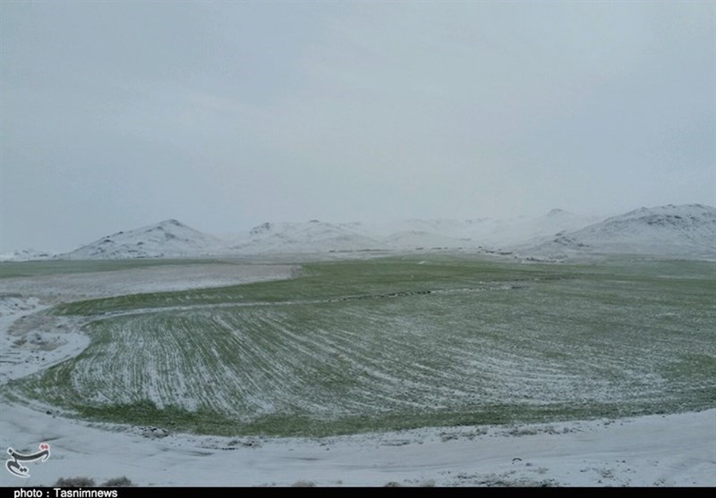 خودنمایی برف زمستانی در بهار زنجان به روایت تصویر