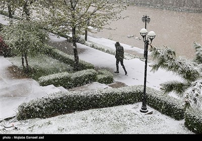 بارش برف بهاری در ارومیه