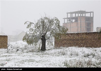 بارش برف بهاری در ارومیه
