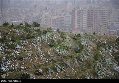 بارش برف بهاری در تبریز