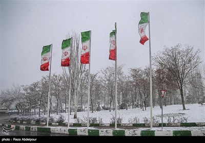 بارش برف بهاری در تبریز