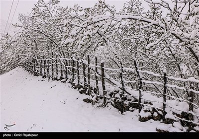 ایران.هطولات ثلجیة فی قریة "برد رشی" فی مریوان کردستان