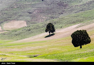 طبیعت بهاری خراسان شمالی