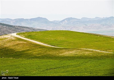 طبیعت بهاری خراسان شمالی