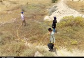 2.2 میلیون هکتار اراضی استان بوشهر برای مبارزه با آفت ملخ صحرایی پایش شد