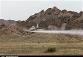 10 هزار هکتار اراضی آلوده به آفت ملخ صحرایی ‌بوشهر سم‌پاشی شد