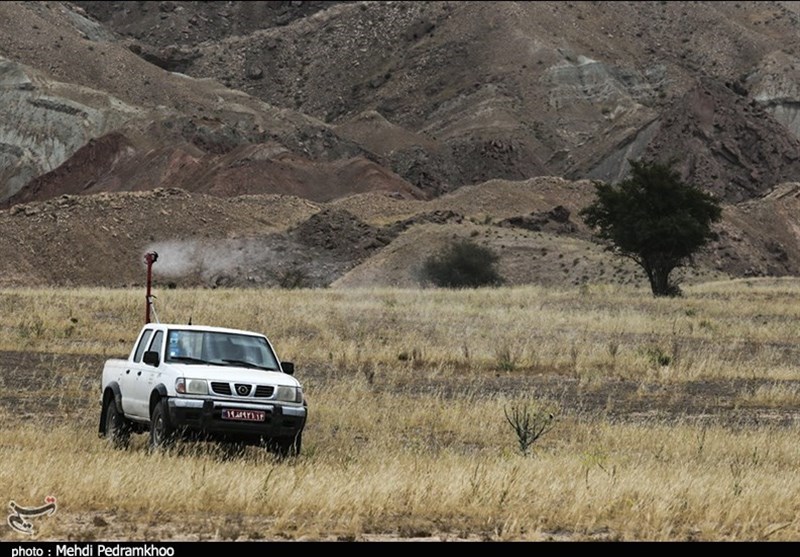 هجوم ملخ‌های صحرایی به اراضی تنگستان/سم‌پاشی 10 هزار هکتار از اراضی
