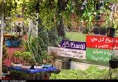 نمایشگاه سراسری گل و گیاه و تجهیزات باغبانی در استان مرکزی برپا می‌شود