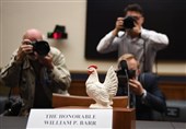 «مجسمه مرغ» به جای دادستان کل آمریکا در مجلس نمایندگان