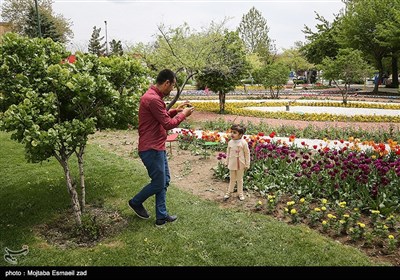 نهمین جشنواره گل و گیاه ارومیه