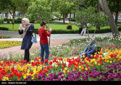 نهمین جشنواره گل و گیاه ارومیه