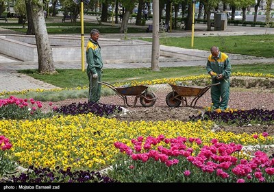 نهمین جشنواره گل و گیاه ارومیه