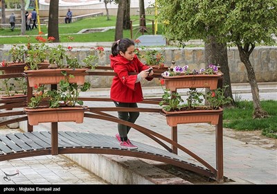 نهمین جشنواره گل و گیاه ارومیه