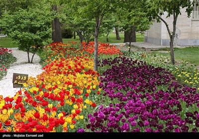 نهمین جشنواره گل و گیاه ارومیه