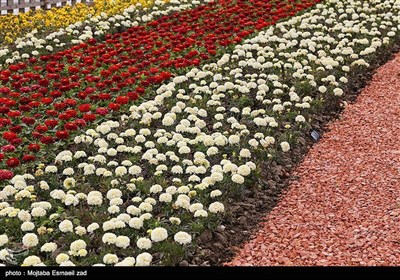 نهمین جشنواره گل و گیاه ارومیه