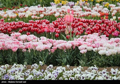 نهمین جشنواره گل و گیاه ارومیه