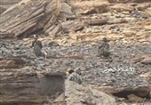 شکار 4 متجاوز سودانی توسط نیروهای یمنی