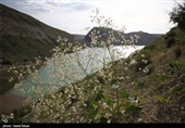 ورود به سدهای استان گلستان در روز طبیعت ممنوع است