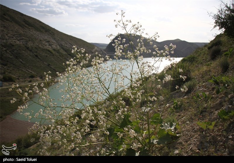 ورود به سدهای استان گلستان در روز طبیعت ممنوع است