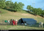 زنجان| فرهنگ غنی عشایر سوار بر طوفان فراموشی /مشکلات از سیاه چادر‌ها کوچ نمی‌کنند