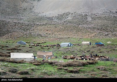 Iranian Nomads Move to Mountainous Regions as Summer Looms